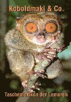 Gerd Elmar König - Koboldmaki & Co., Häftad