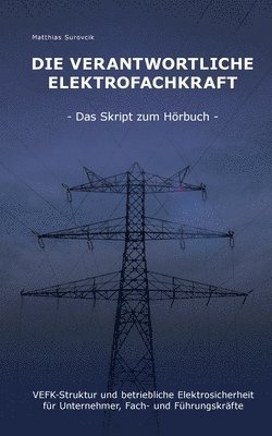 bokomslag Die Verantwortliche Elektrofachkraft