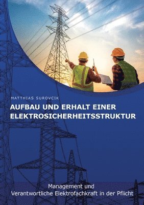 bokomslag Aufbau und Erhalt einer Elektrosicherheitsstruktur