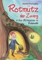 bokomslag Rotmütz der Zwerg (Bd. 3): Mittsommer im Eulenwald