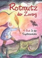 bokomslag Rotmütz der Zwerg (Bd. 4): In der Tropfsteinhöhle