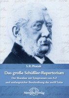 bokomslag Das große Schüßler-Repertorium