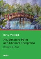 bokomslag Acupuncture Point and Channel Energetics