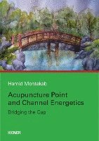 Acupuncture Point and Channel Energetics 1