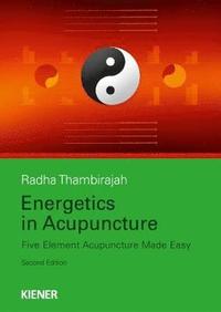 bokomslag Energetics in Acupuncture
