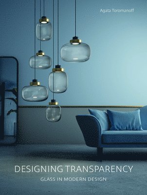 bokomslag Designing Transparency