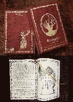 Im Schatten der Hexen 3 Hexenjagd