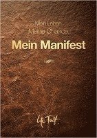 bokomslag Mein Manifest
