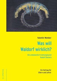 bokomslag Was will Waldorf wirklich?: Die unbekannte Eziehungskunst Rudolf Steiners.