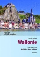 bokomslag Unbekannte Wallonie