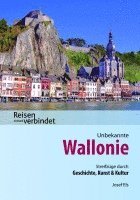 bokomslag Unbekannte Wallonie