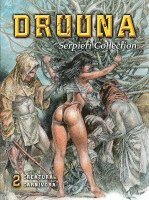 bokomslag Serpieri Collection - Druuna 02