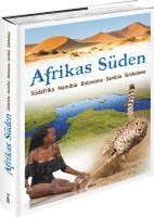 bokomslag Afrikas Süden