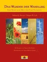 Sakina K. Sievers, Nirgun W. Loh, Mayoori Buchhalter - Das Wunder der Wandlung, Inbunden