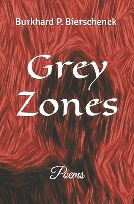 bokomslag Grey Zones