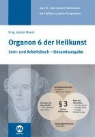 bokomslag Organon 6 der Heilkunst