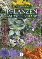 Pflanzen am Ostseestrand 1