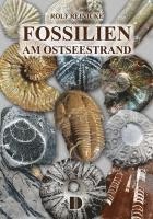 Fossilien am Ostseestrand 1