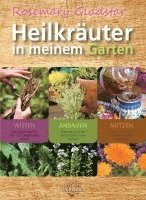 bokomslag Heilkräuter in meinem Garten