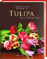 bokomslag Tulipa