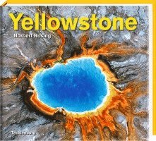 Yellowstone 1