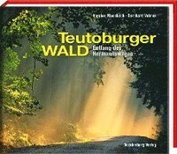 bokomslag Teutoburger Wald