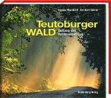 Karsten Mosebach, Bernhard Vollmer - Teutoburger Wald, Inbunden