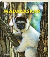 bokomslag Madagaskar