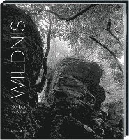 bokomslag Wildnis
