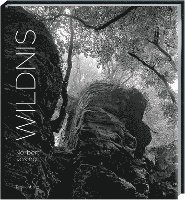 Wildnis 1