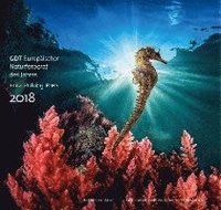 bokomslag GDT Europäischer Naturfotograf des Jahres und Fritz Pölking Preis 2018
