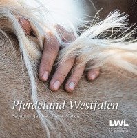 bokomslag Pferdeland Westfalen