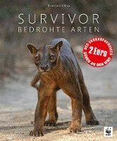 Survivor 1