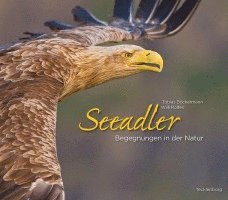 Seeadler 1