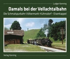 bokomslag Damals bei der Vellachtalbahn