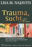 bokomslag Trauma, Sucht und die Suche nach Sicherheit