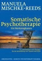 bokomslag Somatische Psychotherapie - ein Werkzeugkasten