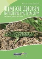 bokomslag Heimische Eidechsen im Freiland und Terrarium