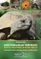 bokomslag Mediterranean Tortoises: Gentle Creatures in Hard Shells