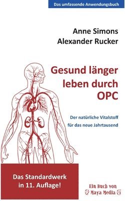 bokomslag Gesund länger leben durch OPC: Der natürliche Wirkstoff für das neue Jahrtausend