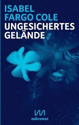 Ungesichertes Gelande 1