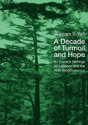 Decade of Turmoil and Hope