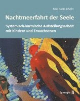 bokomslag Nachtmeerfahrt der Seele