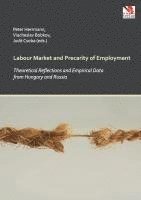 Peter Herrmann, Viacheslav Bobkov, Judit Csoba - Labour Market and Precarity of Employment, Häftad