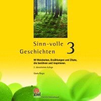 bokomslag Sinn-volle Geschichten 3