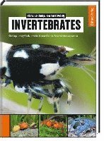 Invertebrates 1