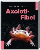 bokomslag Axolotl-Fibel
