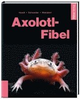 Axolotl-Fibel 1