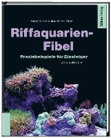 bokomslag Riffaquarien-Fibel