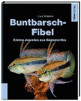 bokomslag Buntbarsch-Fibel Südamerika